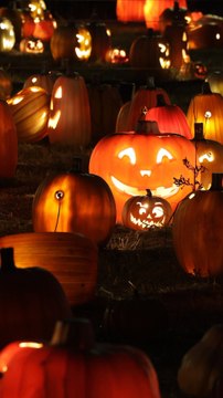 CAM - Halloween, Toussaint, Fête des morts : quelles sont les différences entre ces 3 fêtes ? (1)