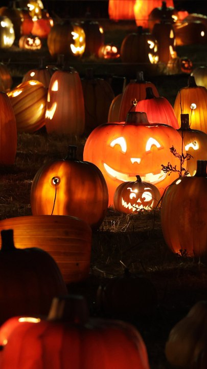 CAM - Halloween, Toussaint, Fête des morts : quelles sont les différences entre ces 3 fêtes ? (1)