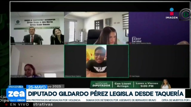 Estos son algunos momentos bochornosos que han vivido los diputados en las sesiones virtuales