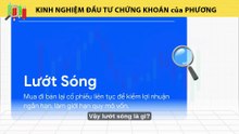 Top 3 Lý Do Vì Sao Nhà Đầu Tư Chứng Khoán Việt Nam Khó Kiếm Được Tiền Dài Hạn