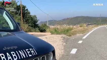 Corsa di cavalli per le vie di Orani: denunciati otto giovani