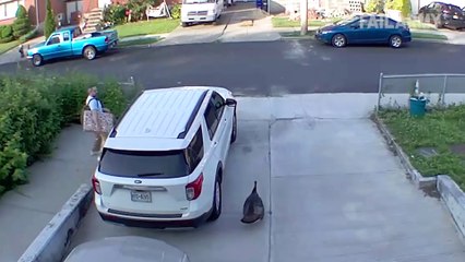 Best Fails of the Week! ¦ Try Not to Laugh Challenege! 🤣