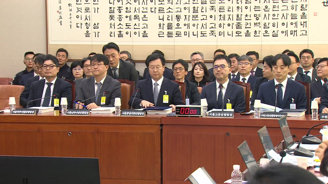국감장 나온 일부 검사장들 "수사권 폐지 취지 동의" / YTN