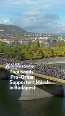 Thousands Pro-Orban Supporters March in Budapest