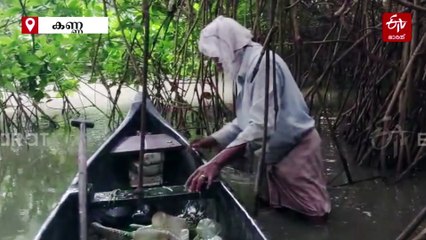കണ്ടൽക്കാടുകളിലെ ആ കാഴ്‌ച മനസ് മുരടിപ്പിച്ചു; പ്ലാസ്റ്റിക്കിനെതിരെ യുദ്ധവുമായി 'കണ്ടൽ രാജൻ'