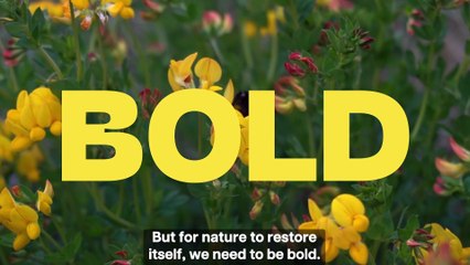 Derbyshire Wildlife Trust Middleton Moor Appeal