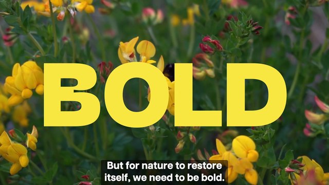 Derbyshire Wildlife Trust Middleton Moor Appeal