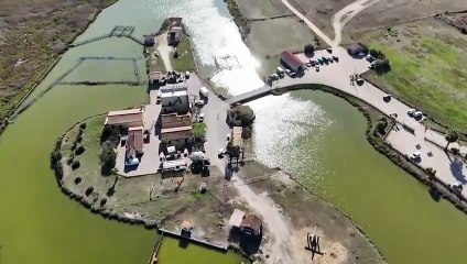 A Cabras il regno della pesca visto dal drone: le immagini