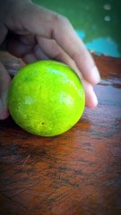 Wow Beautiful Green Lemon Cutting Style — Fruit Cutting Skills