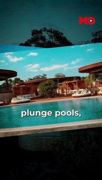 Great Migration at risk: Luxury lodge sparks legal battle in Kenya