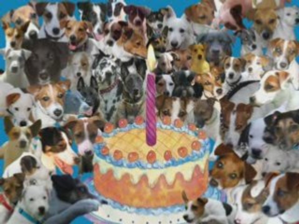 animation anniversaire Fofo