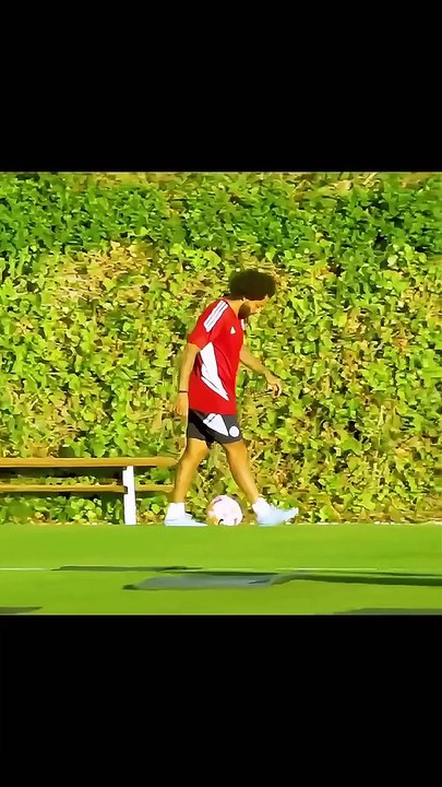 Marcelo Training Skills