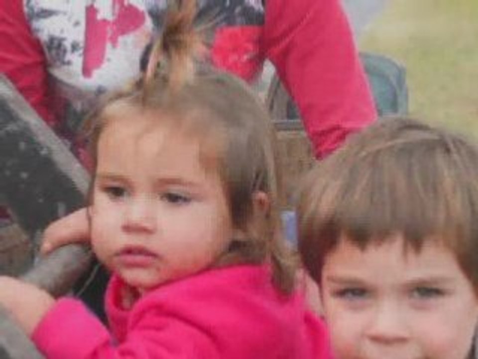 Vendanges2004HD