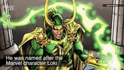 How This Dinosaur is Closely Related to a Marvel Character?