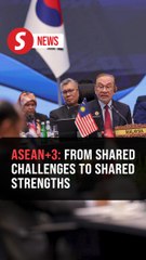 Asean Plus Three experience shows how challenges can be turned into strengths, says Anwar