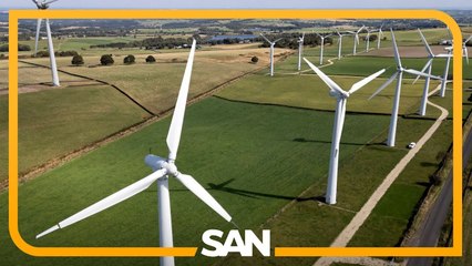 Trump says federal government will not approve new wind farms or solar projects