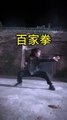 Chinese Kungfu 3