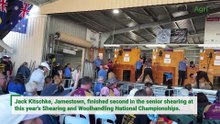 Shearers descend on Jamestown for national championships