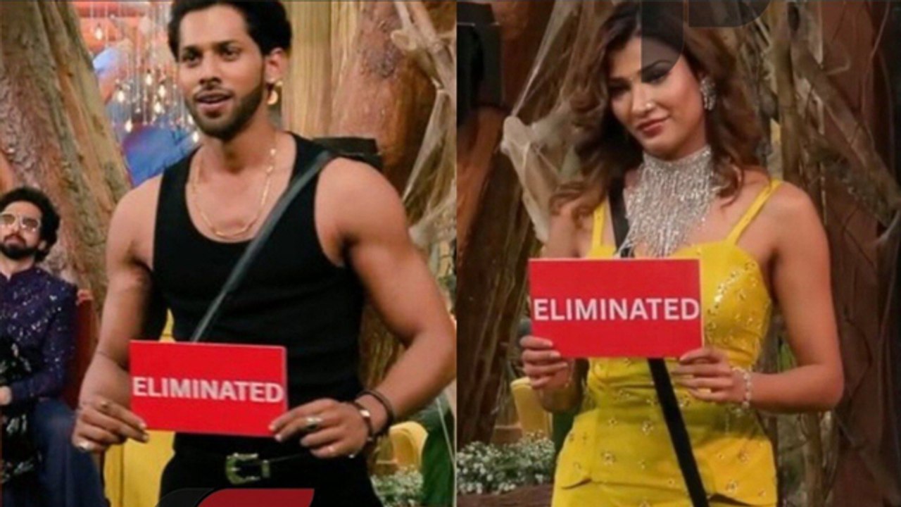BB19 Updates: Nehal Chudasama और Baseer Ali के Double Eviction पर Public Reaction,'Naagin 7 में...'