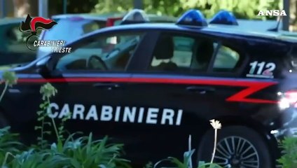 Scoperta una piantagione di marijuana nel Carso, un arresto