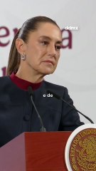 Diario de México Noticias