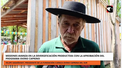 Misiones avanza en la diversificación productiva con la aprobación del programa ovino caprino