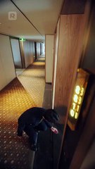 BestMovies Episode 20 - CEO, That Intern is Actually Your Wife (English-dubbed)