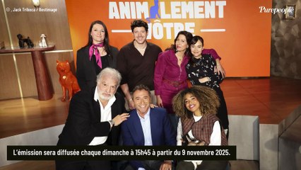 "Je suis très heureux" : Projet inédit pour Bernard Montiel, il retourne sur une chaîne qu'il connaît très bien