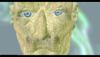 The facial expressions