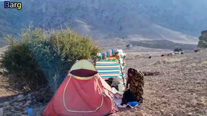 Nomadic life of two couples #fyp #trending #viral #viralvideo #trendingvideo #shorts