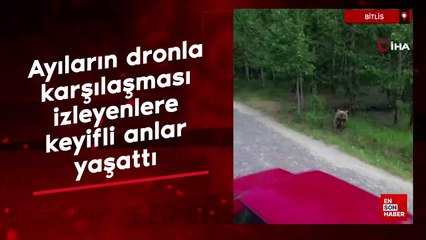 Bitlis'te ayıların dronla karşılaşması izleyenlere keyifli anlar yaşattı