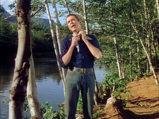 Flechas de Fogo 1950 Dublado - James Stewart