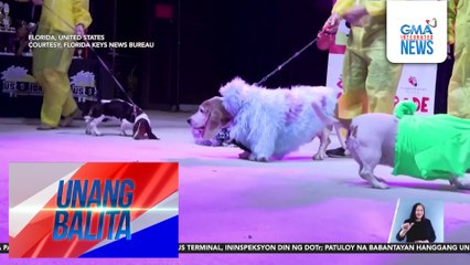Fur babies, rumampa suot ang kani-kanilang costume para sa pet masquerade party | Unang Balita