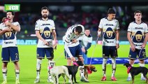 Pumas recibe críticas por campaña con perros en plena angustia de Aaron Ramsey
