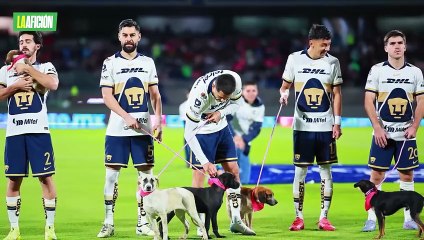 Pumas recibe críticas por campaña con perros en plena angustia de Aaron Ramsey
