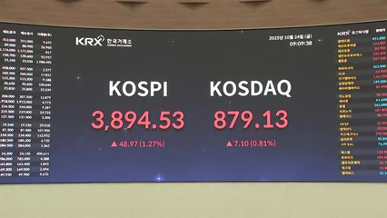 '롤러코스터 등락' 코스피...1.24% 오른 3,893.23 개장 / YTN