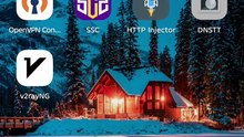 Arjienx - Multiplex Panel Tutorial :  DNSTT + V2ray + OVPN + SSH