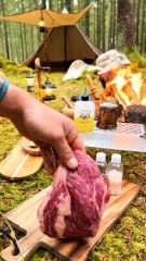 outdoor  camping wildlife