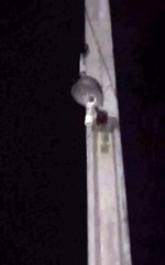 Morador do Sítio Lajes, zona rural de Patos, reclama de poste com iluminação danificada há mais de seis meses