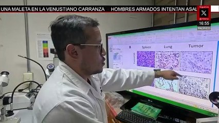 Investigadoras de la UNAM desarrollan una molécula para ataca el cáncer de mama