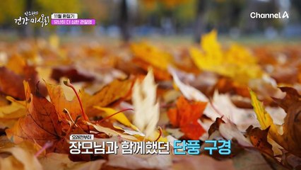 단풍놀이 시즌에  퇴행성 관절염 환자가 느는 이유는?