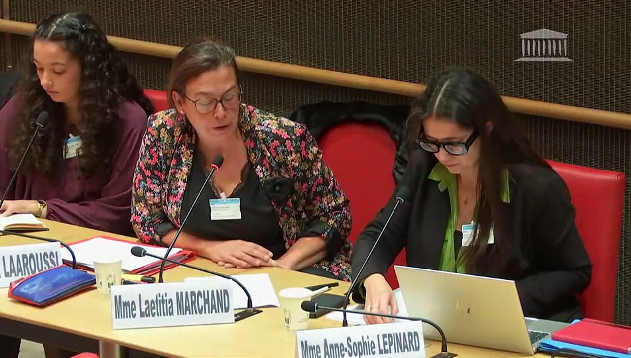 Prise en charge de la santé mentale et du handicap : Non-effectivité des droits dans l’accompagnement et la compensation du handicap ; Mme Déborah Sebbane, directrice du centre collaborateur de l’OMS - Jeudi 23 octobre 2025