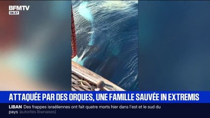 Le bateau d'une famille française attaqué par des orques au large du Portugal
