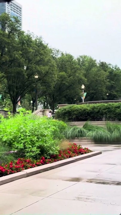 Pluie douce dans le parc 🌧🎶 | Musique relaxante pour se détendre à Paris, Montréal ou Bruxelles