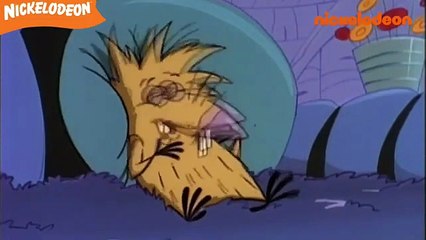 Les Castors Allumés - La Malédiction de la Momie Maudite