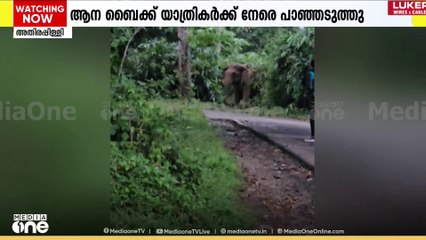 'ആന ബൈക്ക് യാത്രികർക്ക് നേരെ പാഞ്ഞടുത്തു...'