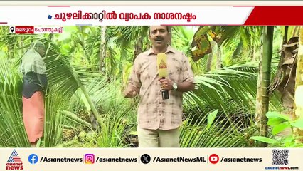നിമിഷ നേരം കൊണ്ട് ആഞ്ഞടിച്ച ചുഴലിക്കാറ്റ്; പോത്തുകല്ലിൽ കർഷകർക്ക് വ്യാപക നാശനഷ്ടം