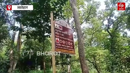 लातेहार के मिर्चाइया वॉटरफॉल का कैसे होगा विकास? पर्यटकों के लिए नहीं है सुरक्षा और सुविधा के ठोस इतंजाम