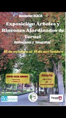 EVENTOS DEL 24 AL 31 DE OCTUBRE