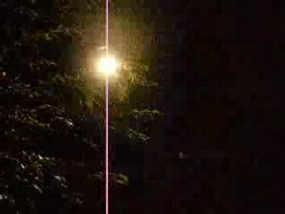 DSCN3029